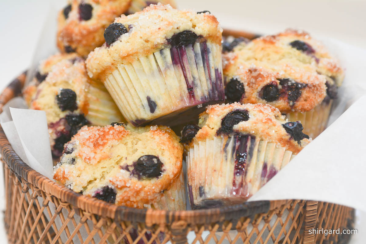 Basket of "Blueberry Muffins Shirl": For the Porch