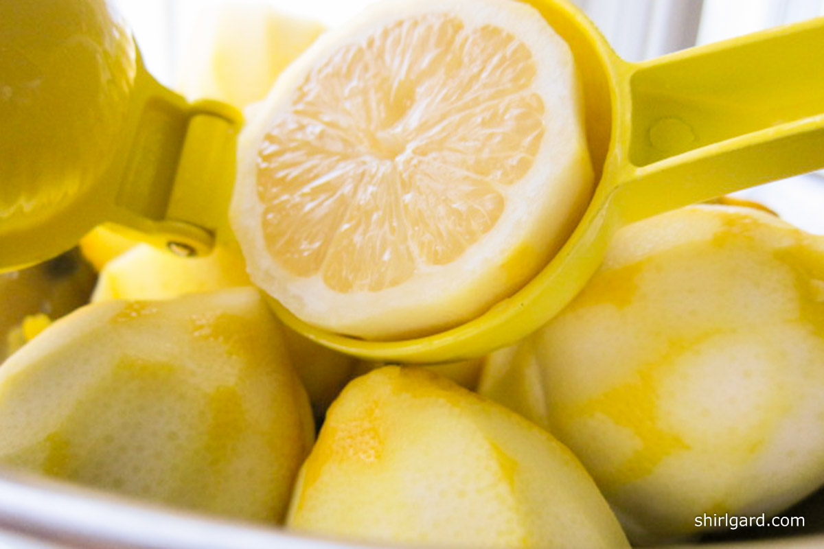 Yellow Lemon Squeezer or Lemon Press