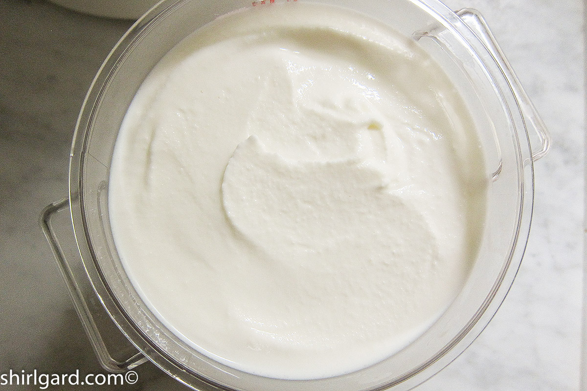 Shirl’s Gelato Mix ShirlGard