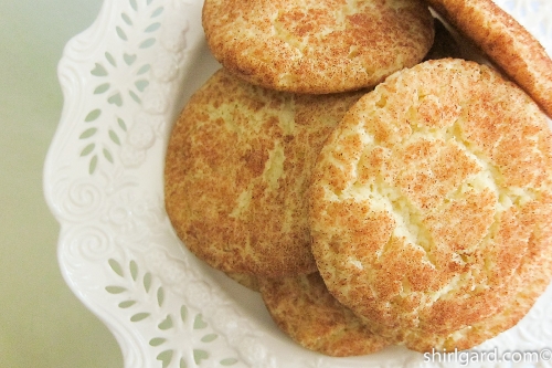 Snickerdoodles – ShirlGard