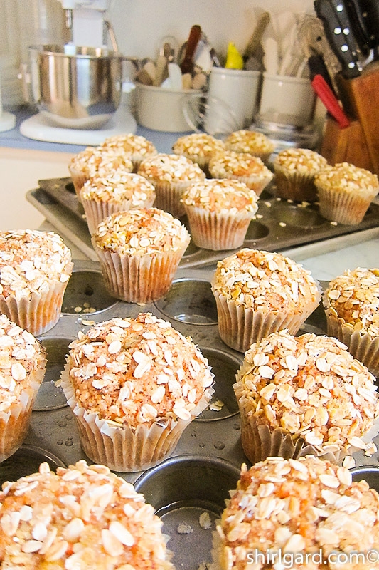 Double-Batch of Morning Glory Muffins