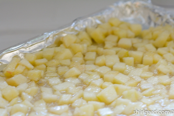Chunky Apple Filling – ShirlGard