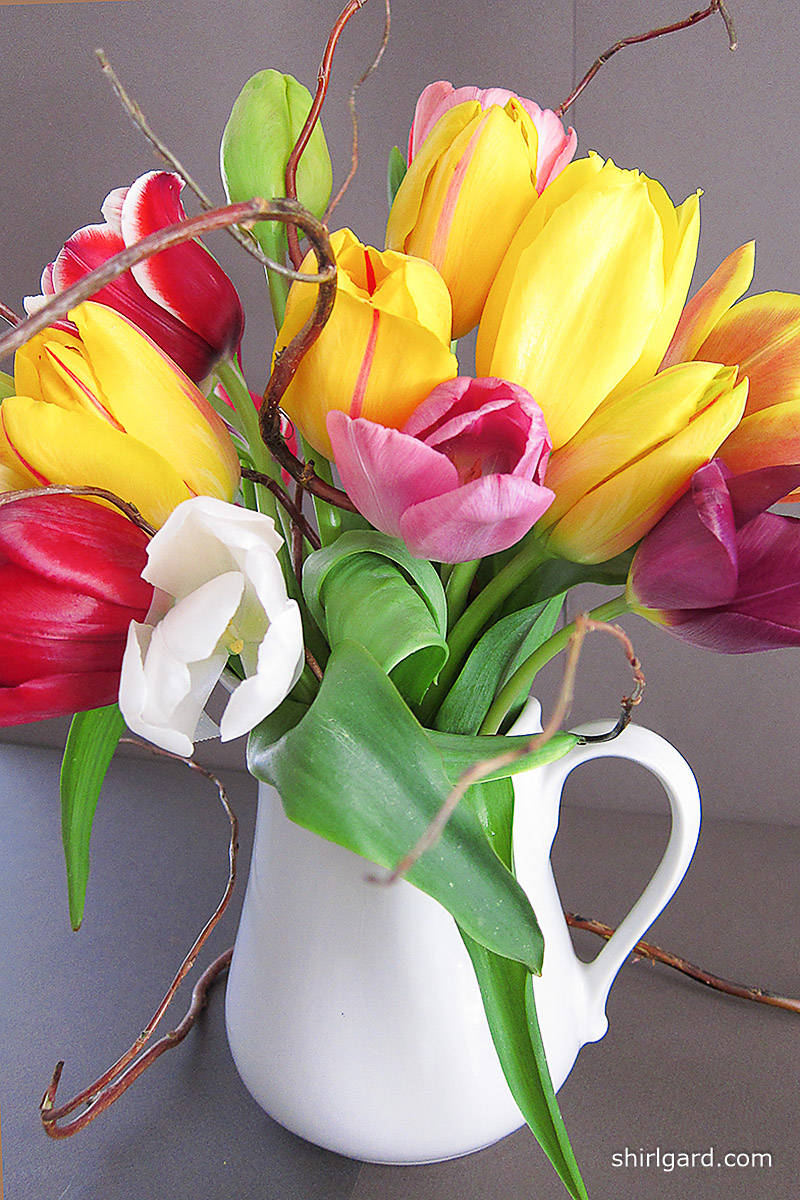 A Pitcher of Tulips for Mom