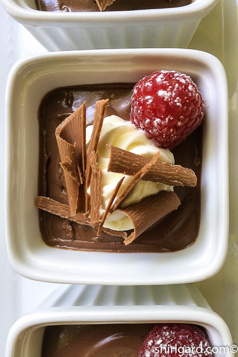 Old-Fashioned Chocolate Pudding – ShirlGard