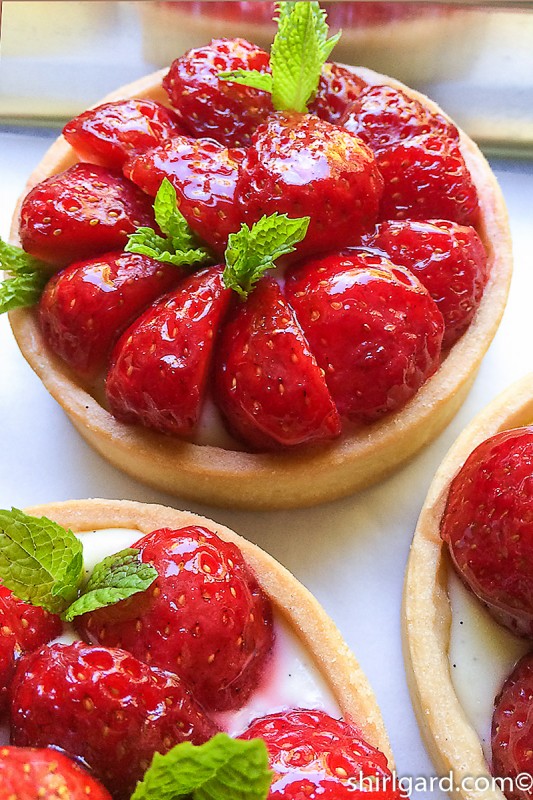 Strawberry Tart with Diplomat Cream