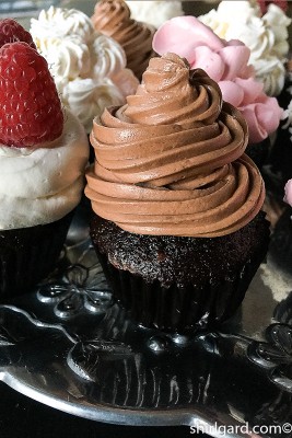Chocolate Mint Swirl: Devil's Food Cupcake