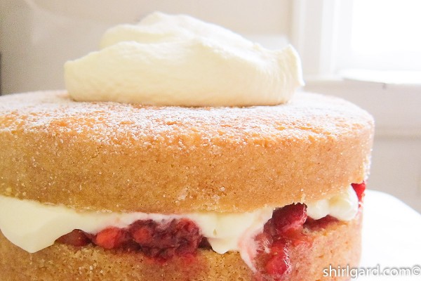 Top layer of cake & more whipped cream