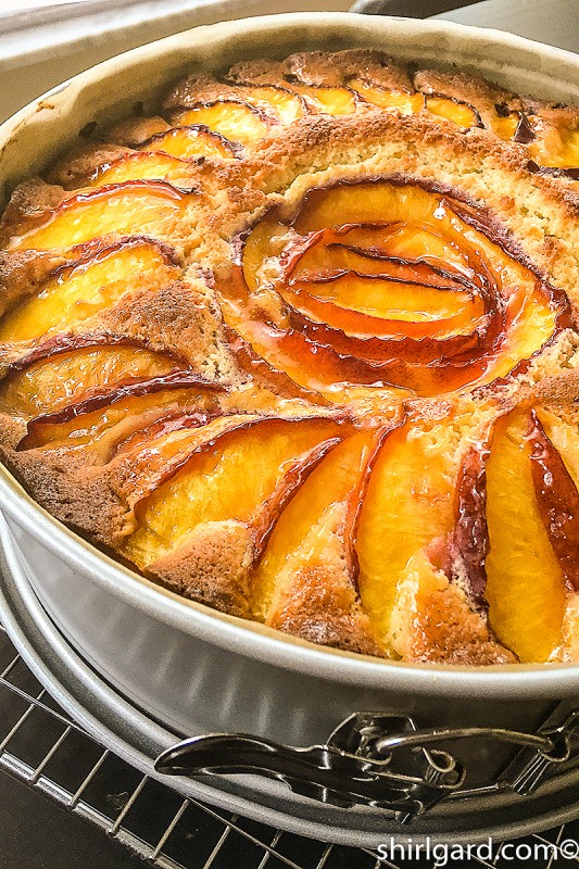 Nectarine Almond Cake ShirlGard